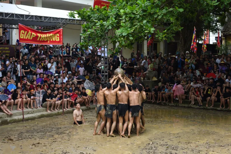 Màn Hình Không Thể Thay Thế Bụi Đất: Lý Do Dân Chuyên Không Bao Giờ Từ Bỏ Trường Gà Thật